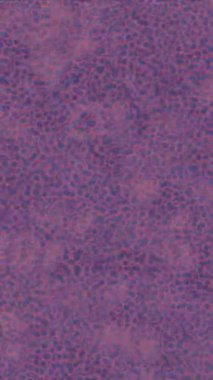 Benzersiz hareket grafikleri tasarım sanatına sahip yaratıcı film üretimi için özet bir arkaplan