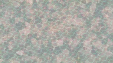 Yaratıcı video düzenleme film tasarımı için benzersiz hareket grafikleri biçimi giriş hareketi video pro