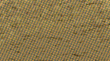 Organik desenli yüzey giriş stili video film sanatı ile soyut arkaplan tasarımı