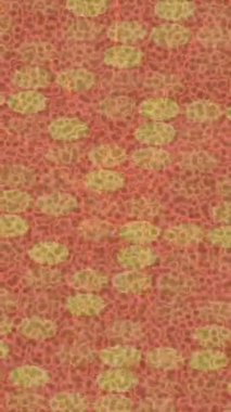 Yaratıcı video düzenleme film tasarımı için benzersiz hareket grafikleri biçimi giriş hareketi video pro