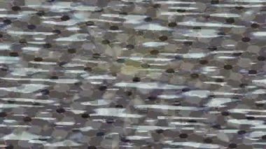 Benzersiz hareket grafikleri tasarım sanatına sahip yaratıcı film üretimi için özet bir arkaplan