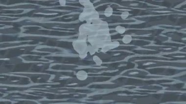 Yaratıcı video düzenleme film arkaplan tasarımı için minimalist organik hareket grafikleri