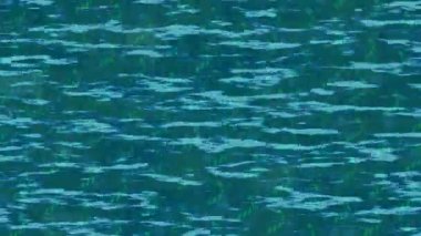 Profesyonel video projeleri sanat tarzı için organik hareketli arkaplan tasarımı