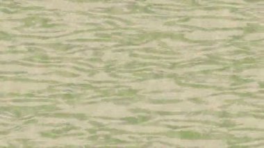 Benzersiz dijital animasyon tarzı grafikleri olan yaratıcı ortam tasarımı için yenilikçi hareket dokusu