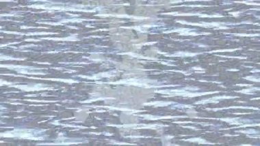 Estetik doku arkaplan tasarımı renkli hareket grafikleri ile moda film giriş profosyoneli