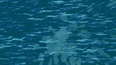 Yaratıcı video düzenleme film arkaplan tasarımı için minimalist organik hareket grafikleri