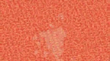 Yaratıcı video düzenleme film tasarımı için benzersiz hareket grafikleri biçimi giriş hareketi video pro