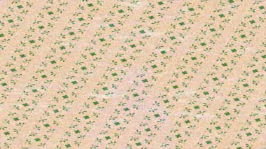 Profesyonel video projeleri sanat tarzı için organik hareketli arkaplan tasarımı