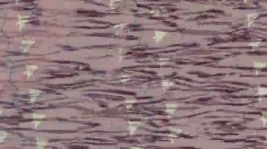 Benzersiz dijital hareket grafiklerine sahip yaratıcı sinematik projeler için yumuşak animasyon yüzeyi