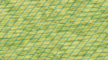 Estetik doku arkaplan tasarımı renkli hareket grafikleri ile moda film giriş profosyoneli