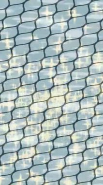 Profesyonel video projeleri sanat tarzı için organik hareketli arkaplan tasarımı