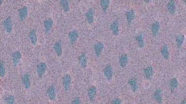 Estetik doku arkaplan tasarımı renkli hareket grafikleri ile moda film giriş profosyoneli