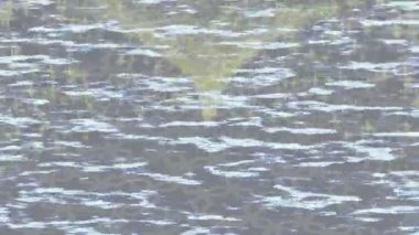 Dijital doku yüzey tasarım biçimi ile modern video animasyonu için gelişmiş hareket grafikleri