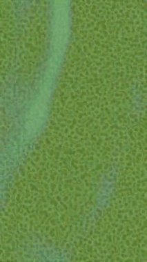 Yaratıcı video düzenleme film tasarımı için benzersiz hareket grafikleri biçimi giriş hareketi video pro