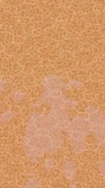 Profesyonel video projeleri sanat tarzı için organik hareketli arkaplan tasarımı