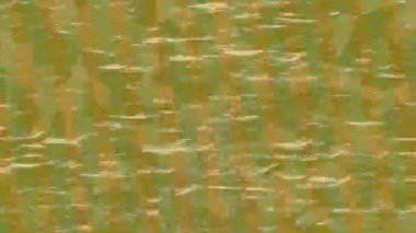 Benzersiz dijital hareket grafiklerine sahip yaratıcı sinematik projeler için yumuşak animasyon yüzeyi