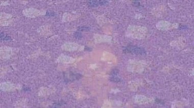 Benzersiz dijital animasyon tarzı grafikleri olan yaratıcı ortam tasarımı için yenilikçi hareket dokusu