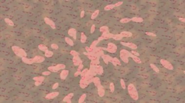 Benzersiz dijital animasyon tarzı grafikleri olan yaratıcı ortam tasarımı için yenilikçi hareket dokusu