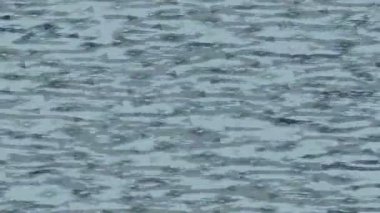 Benzersiz video giriş tasarımı projeleri için detaylı yüzey kalıbı film animasyon stili grafik girişi