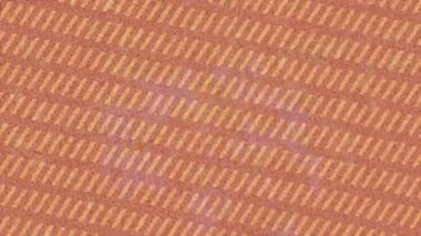 Estetik doku arkaplan tasarımı renkli hareket grafikleri ile moda film giriş profosyoneli