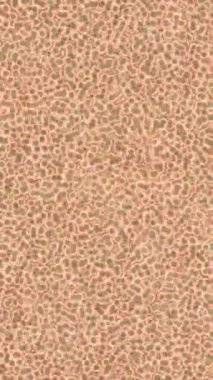 Benzersiz hareket dokusu tasarım sanatı ile profesyonel video düzenleme için modern soyut grafikler