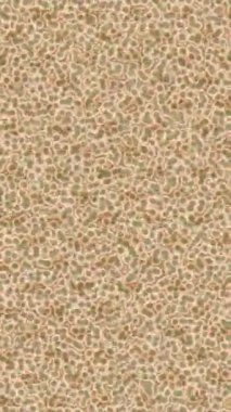 Benzersiz dijital hareket grafiklerine sahip yaratıcı sinematik projeler için yumuşak animasyon yüzeyi