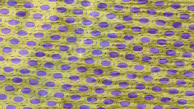 Profesyonel video projeleri sanat tarzı için organik hareketli arkaplan tasarımı