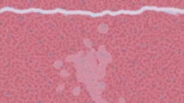 Benzersiz hareket grafikleri tasarım sanatına sahip yaratıcı film üretimi için özet bir arkaplan