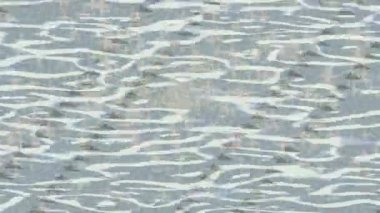 Organik desenli yüzey giriş stili video film sanatı ile soyut arkaplan tasarımı