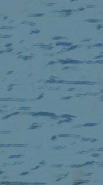 Yaratıcı video düzenleme film arkaplan tasarımı için minimalist organik hareket grafikleri