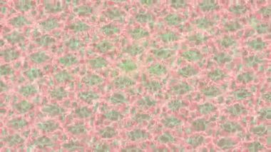 Soyut hareket desenli fütüristik video üretimi için dinamik dijital arkaplan