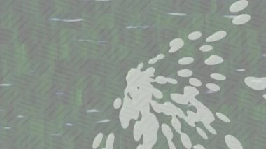 Benzersiz hareket dokusu tasarım sanatı ile profesyonel video düzenleme için modern soyut grafikler