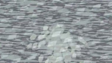 Benzersiz video giriş tasarımı projeleri için detaylı yüzey kalıbı film animasyon stili grafik girişi