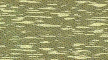 Benzersiz dijital hareket grafiklerine sahip yaratıcı sinematik projeler için yumuşak animasyon yüzeyi