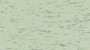 Benzersiz dijital hareket grafiklerine sahip yaratıcı sinematik projeler için yumuşak animasyon yüzeyi