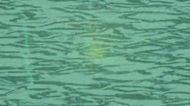 Dijital doku yüzey tasarım biçimi ile modern video animasyonu için gelişmiş hareket grafikleri