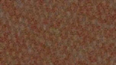 Dijital doku yüzey tasarım biçimi ile modern video animasyonu için gelişmiş hareket grafikleri