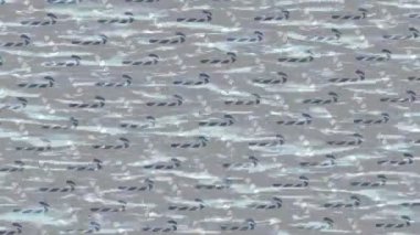 Benzersiz dijital hareket grafiklerine sahip yaratıcı sinematik projeler için yumuşak animasyon yüzeyi