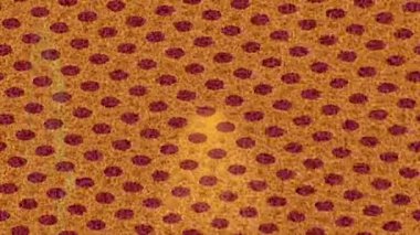 Yaratıcı video düzenleme film arkaplan tasarımı için minimalist organik hareket grafikleri