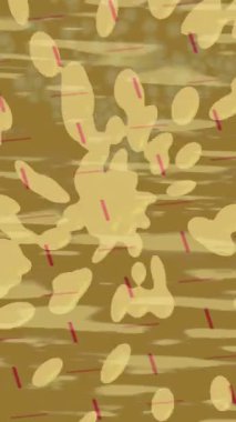 Benzersiz hareket grafikleri tasarım sanatına sahip yaratıcı film üretimi için özet bir arkaplan