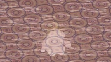 Dijital doku yüzey tasarım biçimi ile modern video animasyonu için gelişmiş hareket grafikleri