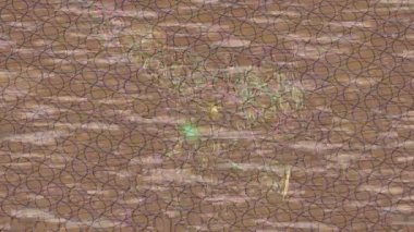 Estetik doku arkaplan tasarımı renkli hareket grafikleri ile moda film giriş profosyoneli