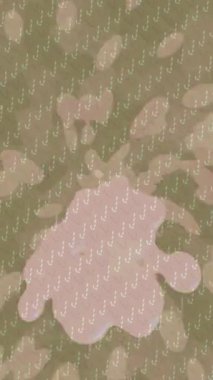 Lüks hareket tasarımı üst düzey video projeleri ve dijital sanat için zarif, pürüzsüz bir dokusu var.