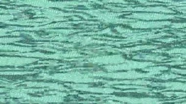 Organik desenli yüzey giriş stili video film sanatı ile soyut arkaplan tasarımı