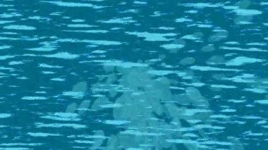 Yaratıcı video düzenleme film tasarımı için benzersiz hareket grafikleri biçimi giriş hareketi video pro