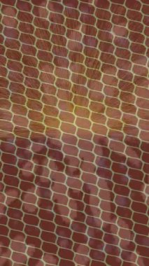 Modern medya üretimi için fütüristik dijital soyut doku sinematik tarz hareketli grafik ögesi