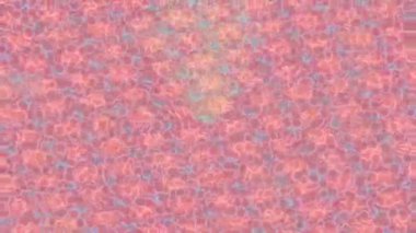 Yaratıcı video düzenleme film arkaplan tasarımı için minimalist organik hareket grafikleri