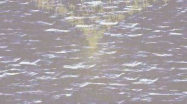 Dijital doku yüzey tasarım biçimi ile modern video animasyonu için gelişmiş hareket grafikleri