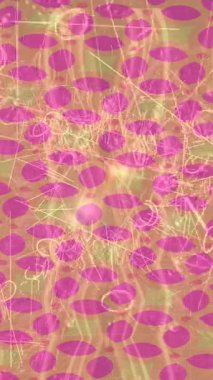 Benzersiz dijital hareket grafiklerine sahip yaratıcı sinematik projeler için yumuşak animasyon yüzeyi