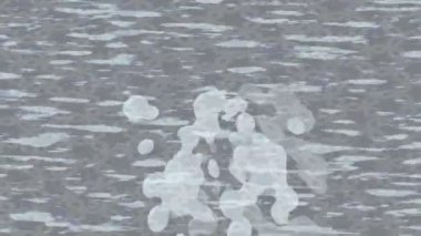 Yaratıcı video düzenleme film arkaplan tasarımı için minimalist organik hareket grafikleri